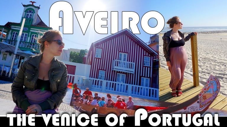 Read more about the article AVEIRO – THE VENICE OF PORTUGAL – EXPAT DAILY VLOG (ADITL EP345)