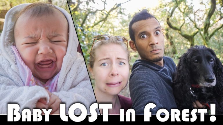 Read more about the article BABY LOST IN THE FOREST?! – FAMILY VLOGGERS DAILY VLOG
