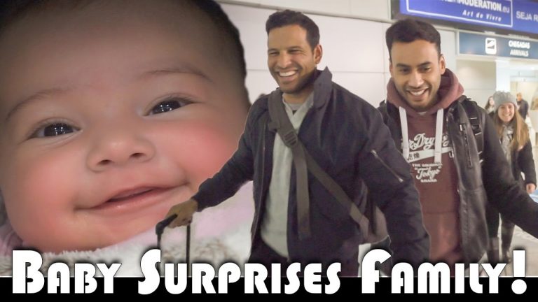 Read more about the article BABY SURPRISES FAMILY! – FAMILY VLOGGERS DAILY VLOG (ADITL EP495)