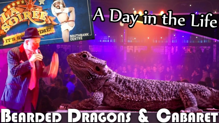 Read more about the article BEARDED DRAGONS & CABARET – UK DAILY VLOG (ADITL EP137)