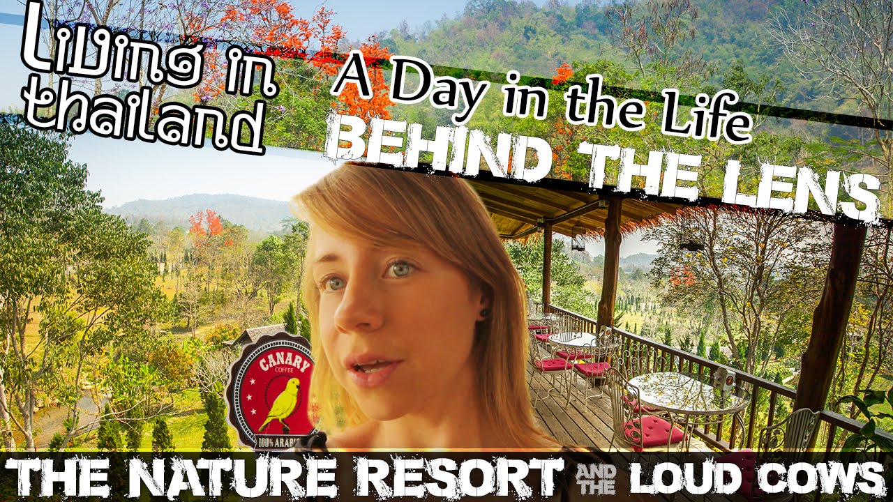 Read more about the article CANARY NATURAL RESORT CHIANG RAI- Fighting Sleep W/ Caffeine -LIVING IN THAILAND (ADITL BTL EP28)
