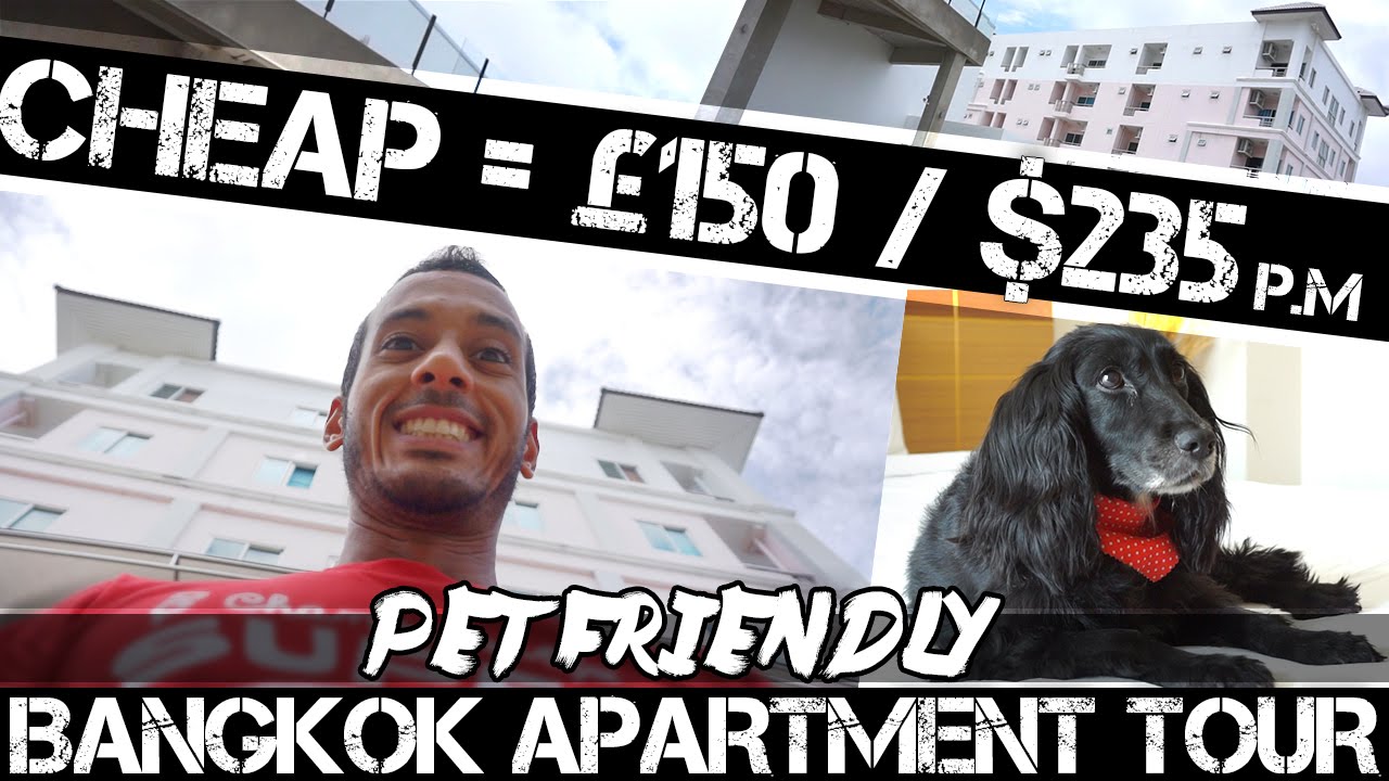 Read more about the article Renting A Cheap Bangkok Apartment #PET FRIENDLY