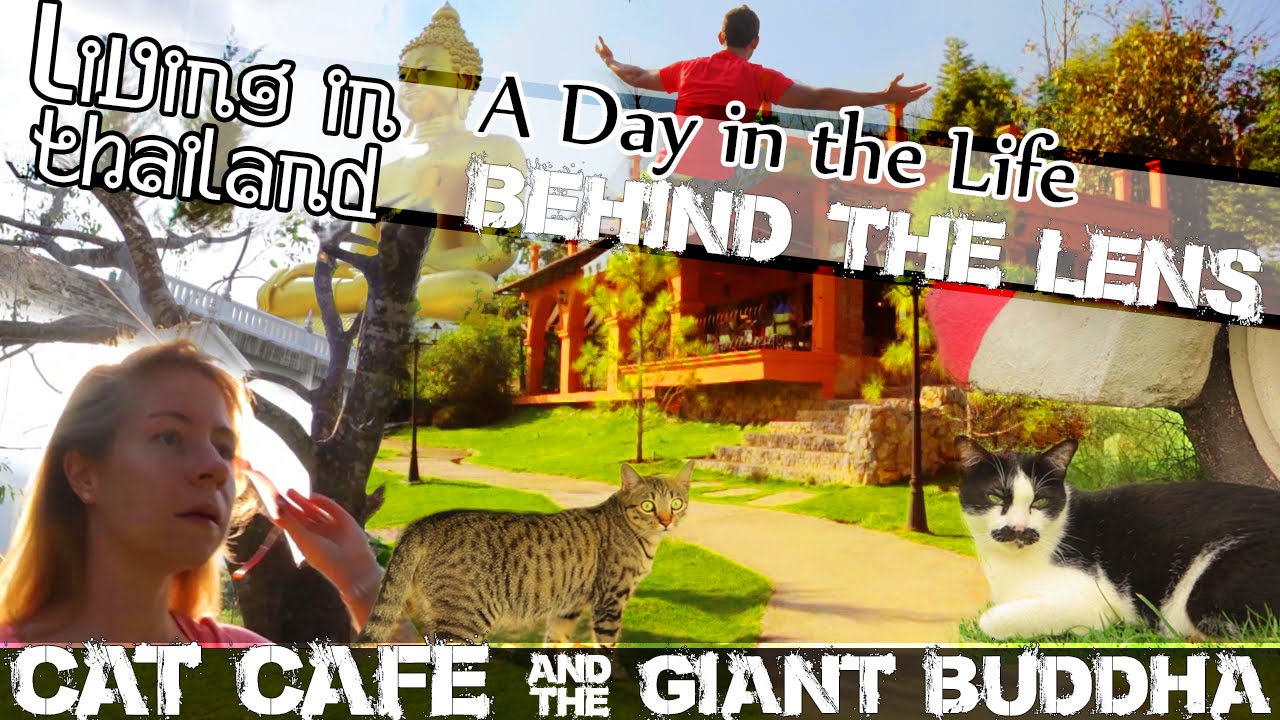 Read more about the article CHIANG RAI CAT CAFE & The Giant Buddha -LIVING IN THAILAND VLOG-(ADITL BTL EP11)