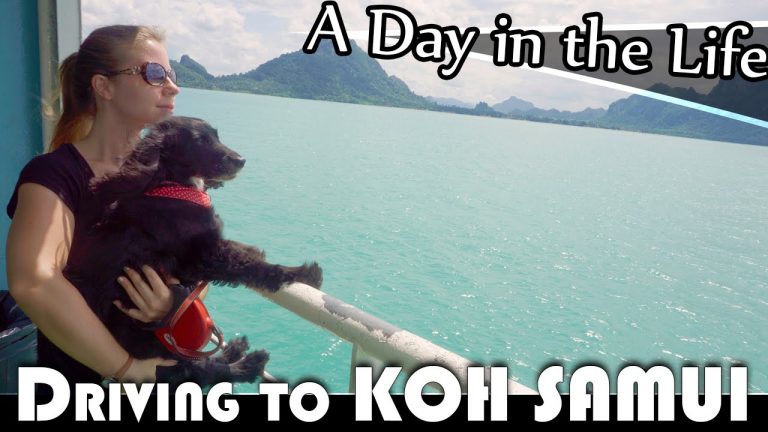 Read more about the article DRIVING TO KOH SAMUI WITH MY DOG- LIVING IN THAILAND DAILY VLOG (ADITL EP187)
