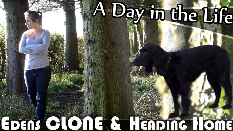 Read more about the article EDENS CLONE & HEADING HOME UK DAILY VLOG (ADITL EP136)