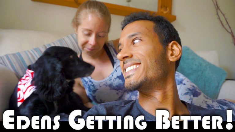 Read more about the article EDENS GETTING BETTER! – UK DAILY VLOG MOVING TO PORTUGAL DAILY VLOG (ADITL EP334)