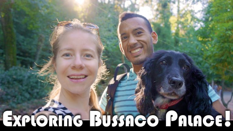 Read more about the article EXPLORING THE BUSSACO PALACE GROUNDS! – LIVING IN PORTUGAL DAILY VLOG (ADITL EP404)