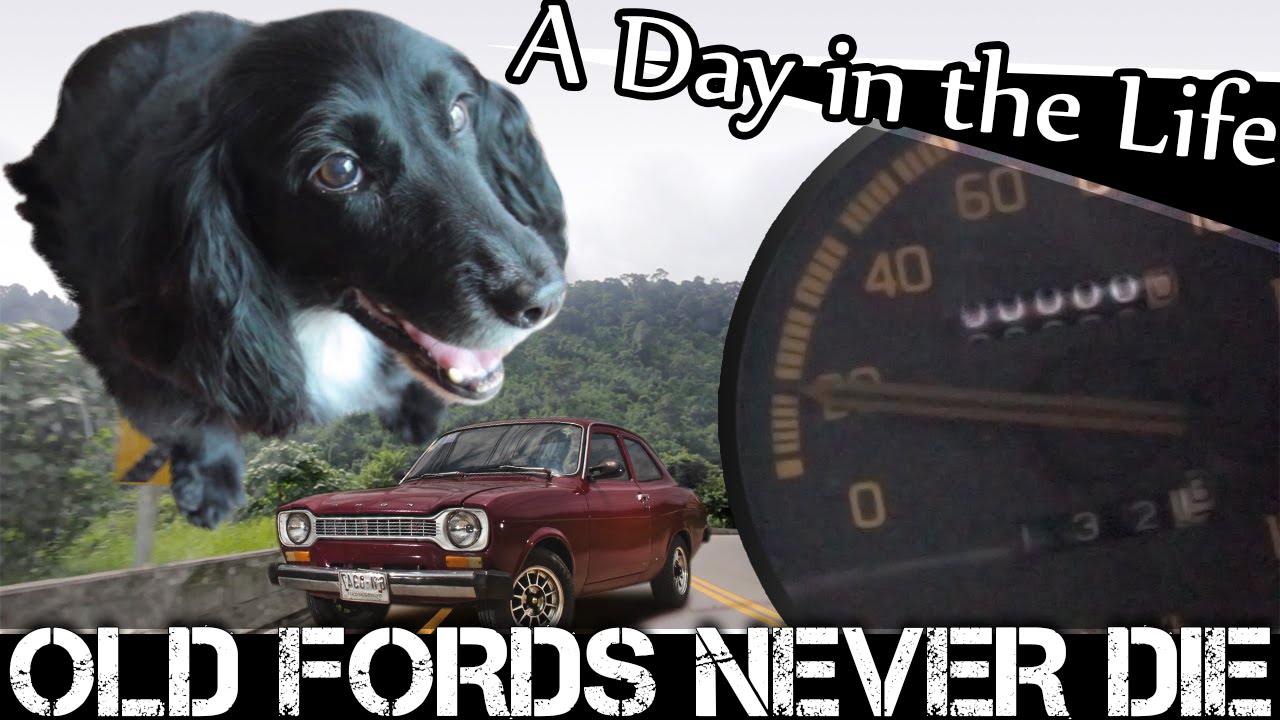 Read more about the article LIVING IN THAILAND VLOG- OLD FORDS NEVER DIE (ADITL EP77)