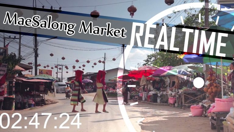 Read more about the article Maesalong Hill Tribe Market – Chiang Rai – Shot In Real Time (ADITL)