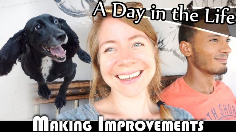 Read more about the article MAKING IMPROVEMENTS – LIVING IN THAILAND VLOG (ADITL EP218)