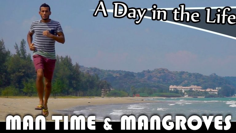 Read more about the article MAN TIME & MANGROVES – LIVING IN THAILAND DAILY VLOG (ADITL EP171)