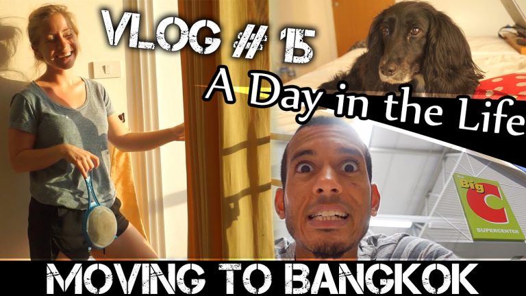 Read more about the article MOVING TO BANGKOK DAILY VLOG#15 – WE RAN OUT OF MONEY! (ADITL)
