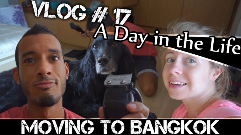 Read more about the article MOVING TO BANGKOK DAILY VLOG#17 – DAILY VLOGGING IS HARD (ADITL)