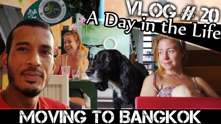 Read more about the article MOVING TO BANGKOK DAILY VLOG#20 – MISSING THE FARM (ADITL)