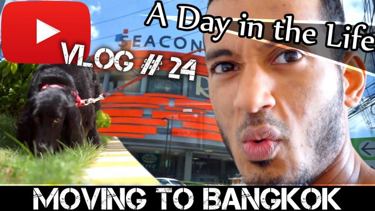 Read more about the article MOVING TO BANGKOK DAILY VLOG#24 – IN LOVE WITH YOUTUBE (ADITL)