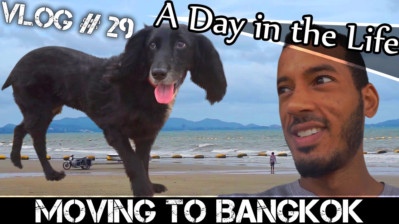 Read more about the article MOVING TO BANGKOK DAILY VLOG#29 – THE LAST VLOG (ADITL)