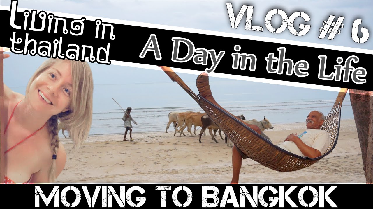 Read more about the article MOVING TO BANGKOK DAILY VLOG#6 – SACHAS SHELL ADDICTION (ADITL)