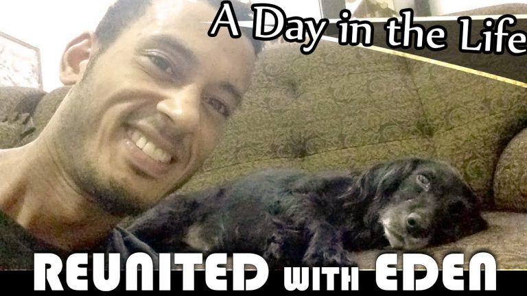 Read more about the article REUNITED WITH EDEN – LIVING IN THAILAND DAILY VLOG (ADITL EP151)