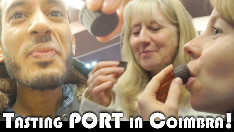 Read more about the article TASTING PORT IN COIMBRA! – FAMILY VLOGGERS DAILY VLOG (ADITL EP451)
