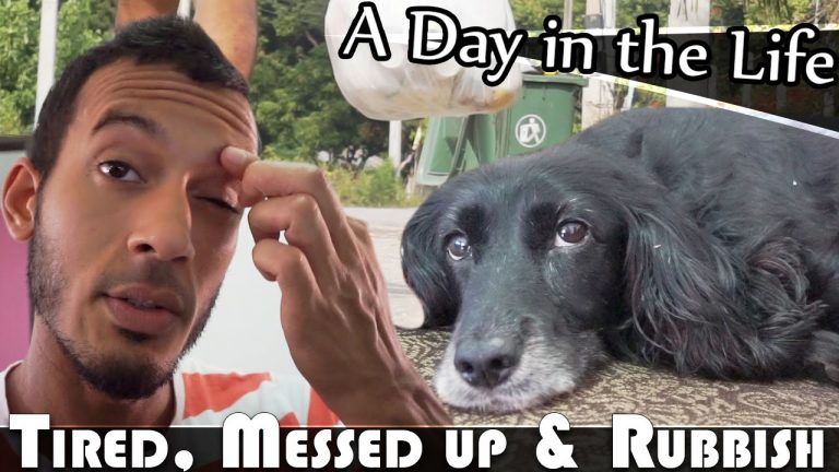 Read more about the article TIRED, MESSED UP & RUBBISH ;-) LIVING IN HUA HIN VLOG (ADITL EP161)