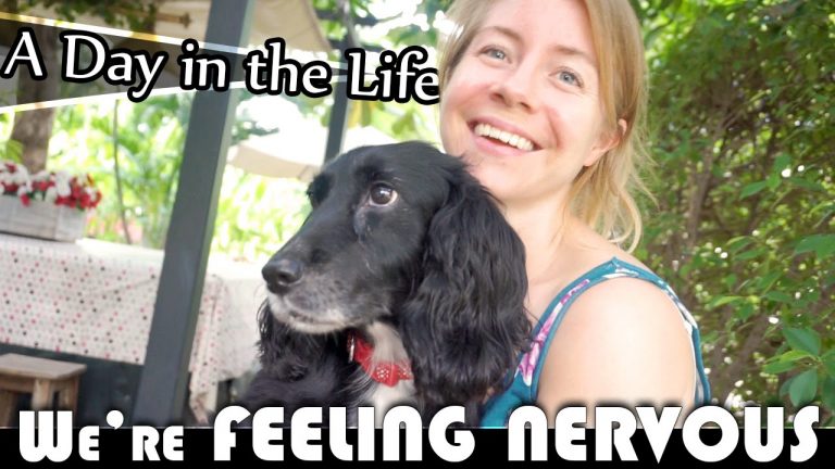 Read more about the article WE’RE FEELING NERVOUS – LIVING IN THAILAND DAILY VLOG (ADITL EP88)