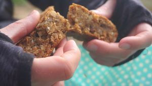 Read more about the article Easy Vegan Snack Bars With Oat Apple Walnut