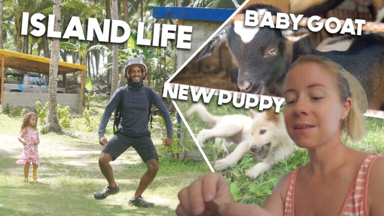 Read more about the article Happy Island Simple Life In Philippines 🇵🇭 Feeding Goats | New Puppy | CHEAP AirCon Maintenance
