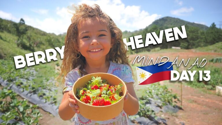 Read more about the article STRAWBERRY Picking PHILIPPINES Secret Farm In MINDANAO
